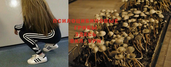 mdpv Абдулино