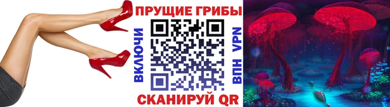 Псилоцибиновые грибы мицелий Сызрань