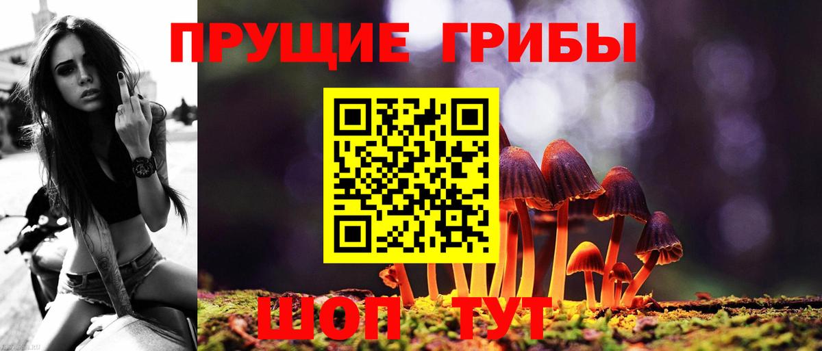 Галлюциногенные грибы мухоморы Сызрань